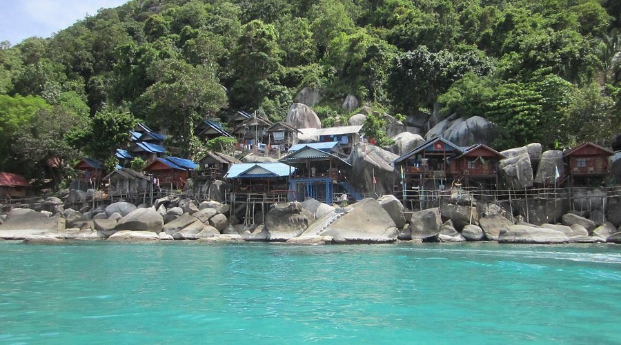 ocean rock resort